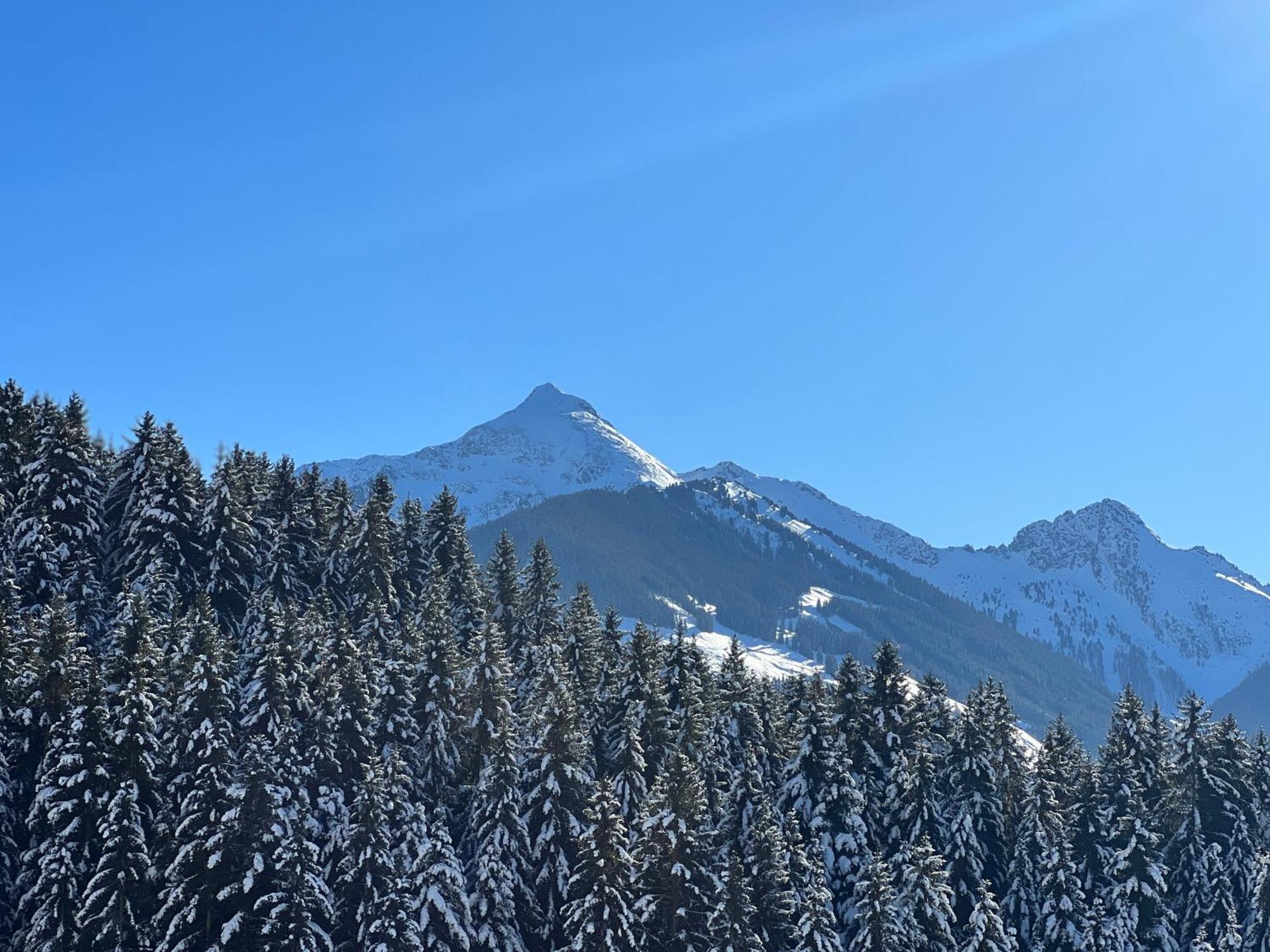 Ferienwohnungen Unterfeld Alpbach Ngoại thất bức ảnh