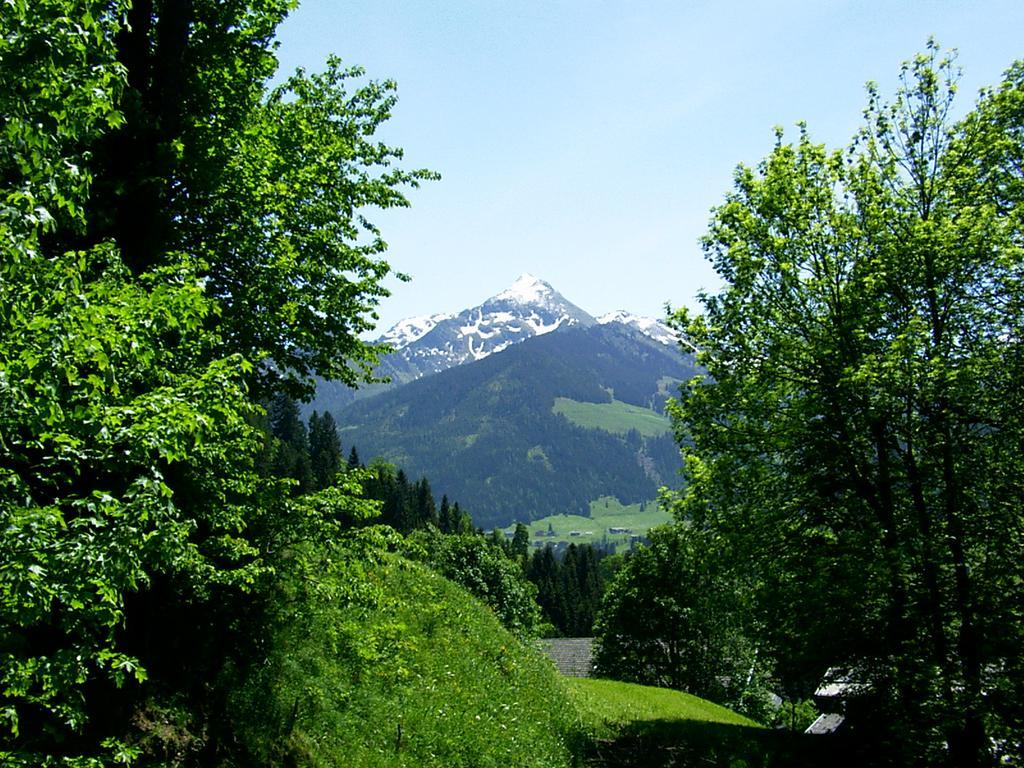 Ferienwohnungen Unterfeld Alpbach Ngoại thất bức ảnh