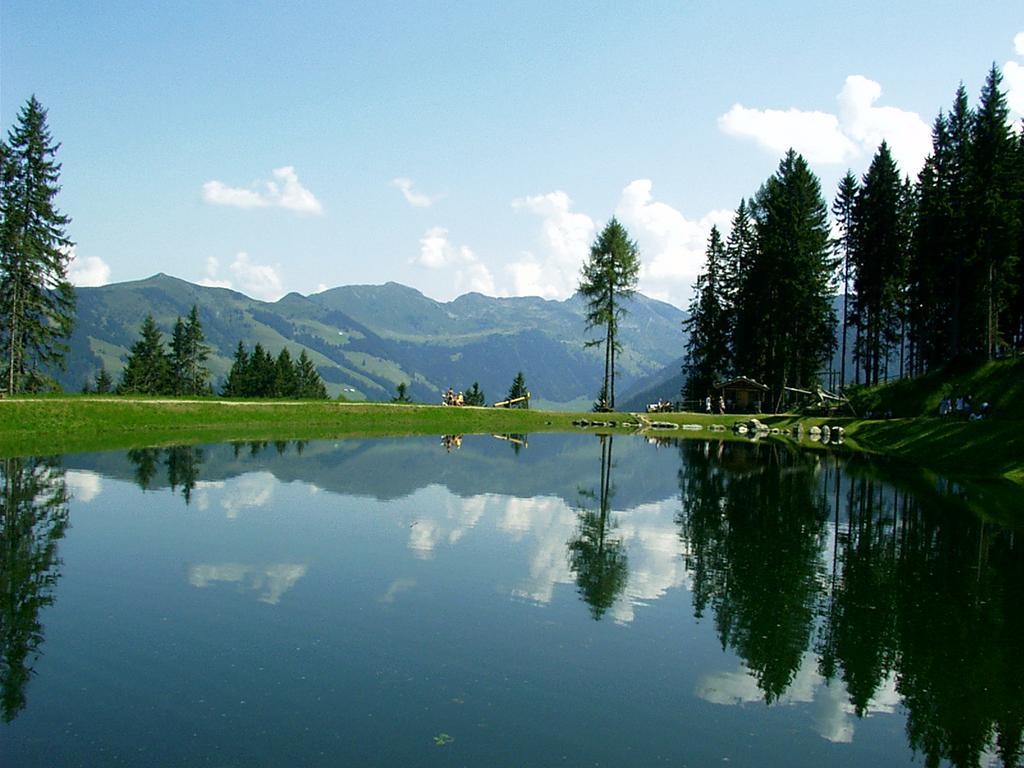 Ferienwohnungen Unterfeld Alpbach Ngoại thất bức ảnh
