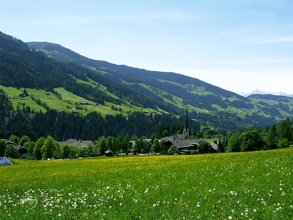 Ferienwohnungen Unterfeld Alpbach Ngoại thất bức ảnh