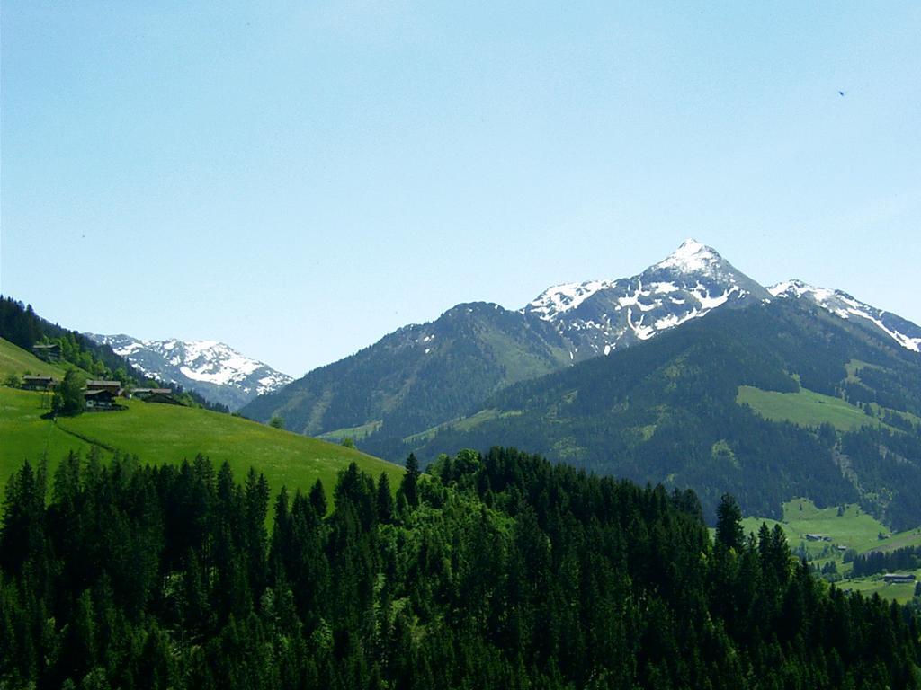 Ferienwohnungen Unterfeld Alpbach Ngoại thất bức ảnh